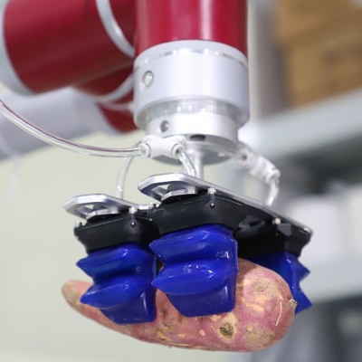 De Zachte Robotachtige Tang van ISO 200g voor Kleine Volumegoederen